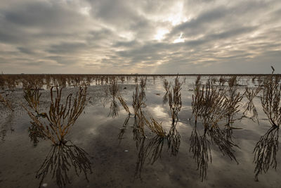 Scenic view of lake against sky during sunset