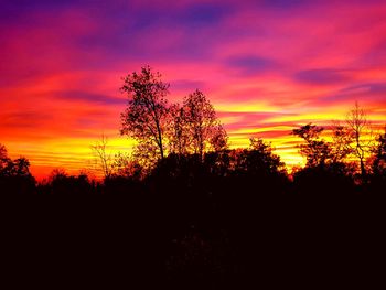 Silhouette trees against dramatic sky during sunset