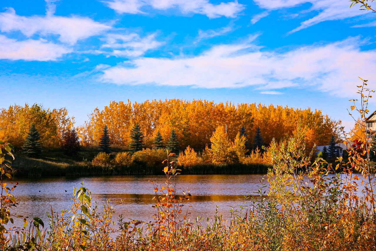 SCENIC VIEW OF LAKE AGAINST SKY DURING AUTUMN