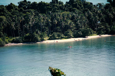 Scenic view of lake in forest