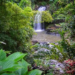 waterfall