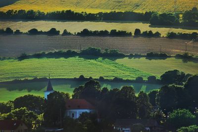 High angle view of trees on landscape