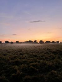 Scenic view of field against sky during sunset