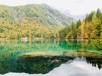 Scenic view of lake by trees against sky