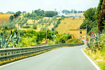 Road amidst trees and plants in city