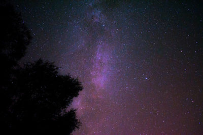 Low angle view of stars against sky at night