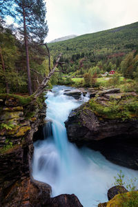 Scenic view of stream flowing through rocks