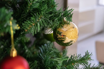 Close-up of christmas tree