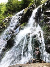 Scenic view of waterfall in forest