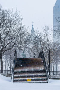 Snow covered plants by building against sky