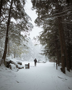 Rear view of people walking on snow covered land