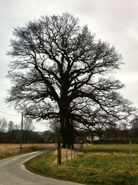 Road passing through field