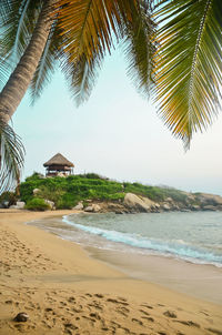 Palm trees on beach against clear sky