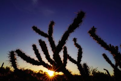 Low angle view of silhouette trees against sky during sunset