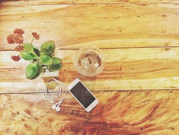 High angle view of flowers on table