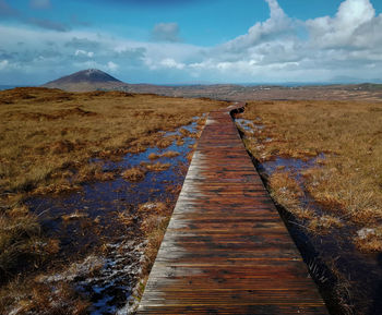 Wood footpath through a field in connemara ireland