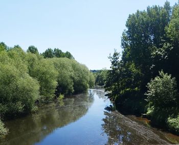 Scenic view of river amidst trees against clear sky