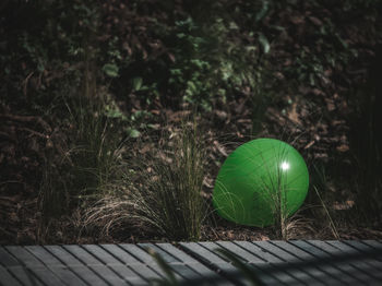 View of balloon by grass outdoors