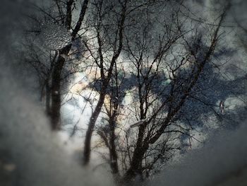 Close-up of wet bare tree against sky