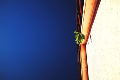 Low angle view of a building