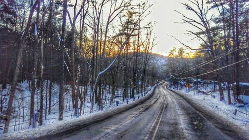 Railroad track amidst bare trees during winter