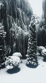 Close-up of snow against sky