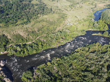 High angle view of trees on land