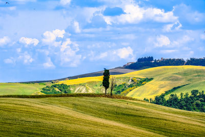 Scenic view of field against cloudy sky