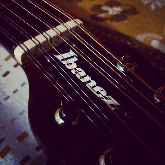 indoors, close-up, high angle view, animal themes, metal, no people, part of, selective focus, reflection, transportation, music, focus on foreground, musical instrument, metallic, one animal, musical equipment, day, glass - material, technology, black color