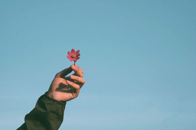 Cropped hand holding red rose against blue sky