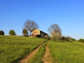 Scenic view of field against clear sky