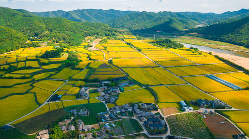 High angle view of agricultural field