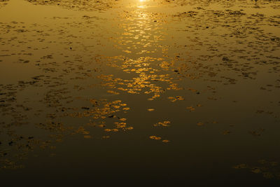 Full frame shot of water