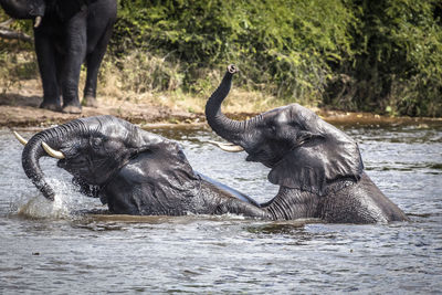 View of water in river