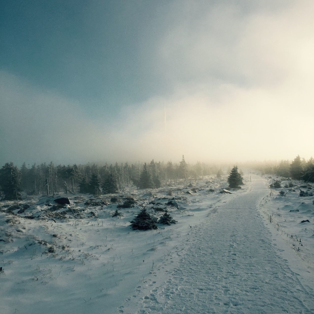 snow, winter, cold temperature, weather, sky, tranquility, tranquil scene, scenics, season, nature, beauty in nature, cloud - sky, frozen, covering, landscape, tree, water, cloudy, non-urban scene, outdoors