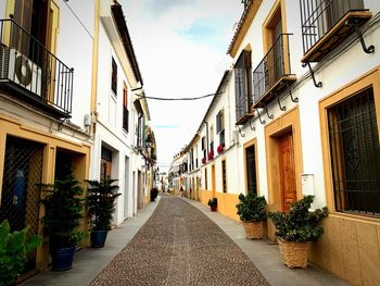 Narrow alley amidst residential buildings