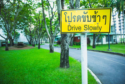 Road sign by trees
