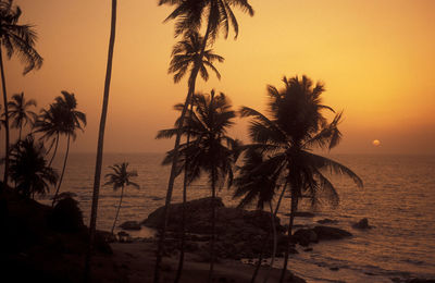 Silhouette palm trees against sky during sunset