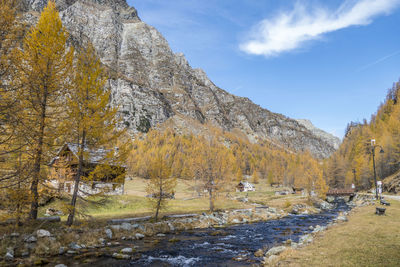 Scenic view of trees by mountains against sky