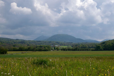 Scenic view of field against sky