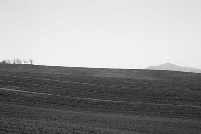 Scenic view of field against clear sky