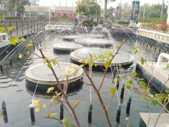 High angle view of lake in city