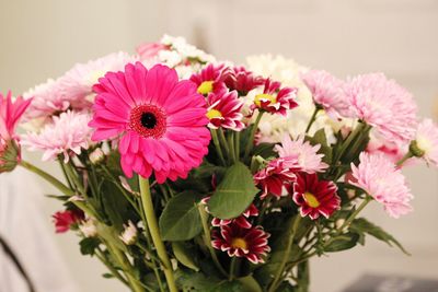 Close-up of pink flowers blooming outdoors