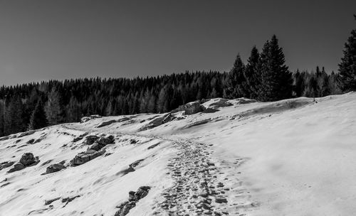 Snow covered land and trees against clear sky