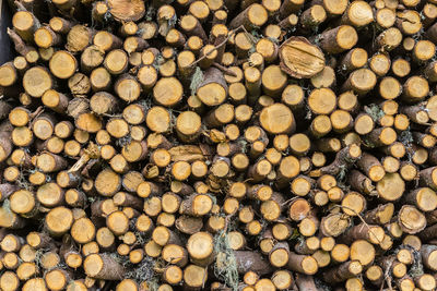 Full frame shot of logs in forest