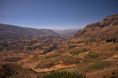 Beautiful landscape of colca canyon in peru