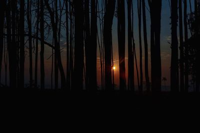 Scenic view of landscape at sunset