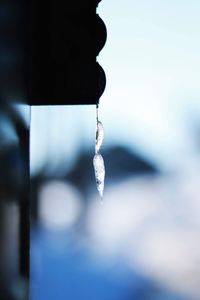 Close-up of icicles against blurred background