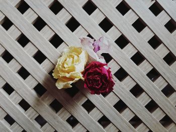 High angle view of red roses