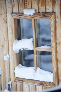 Close-up of a bird in snow